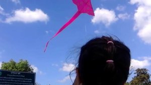 Ева и анфиса запускают воздушного змея на берегу моря. Children run the kite on the beach