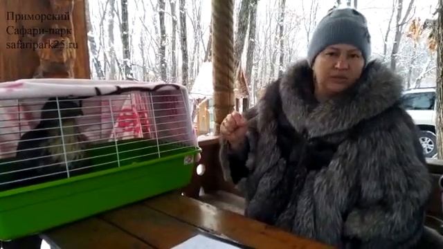 В САФАРИ ПАРК ПРИВЕЗЛИ КАНЮКА смотреть онлайн