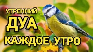 Аят аль-Курси утро и вечер дуа на каждый день, защита на весь день!!!