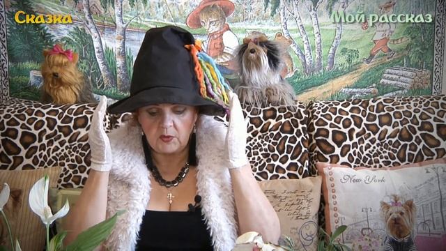 Звездная сказка о любви. Глава 45 смотреть онлайн