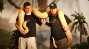 Главное — Хвост Видео из +100500