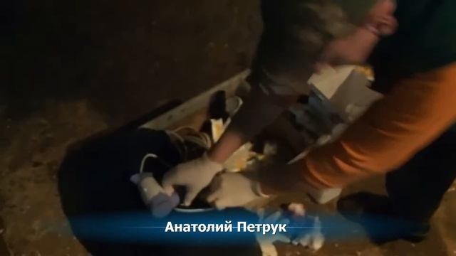 Клеем копытные колодки Технобаза 8000. By Clay hoof pads Tehnobaza 8000