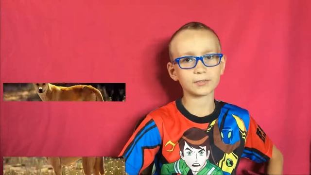 А знаете ли вы... выпуск 9. Вомбат смотреть онлайн