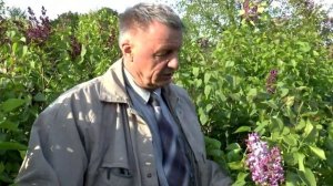 Творческая селекционная группа «Русская сирень»