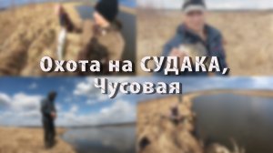 Охота на СУДАКА, Чусовая. 01.05.2022