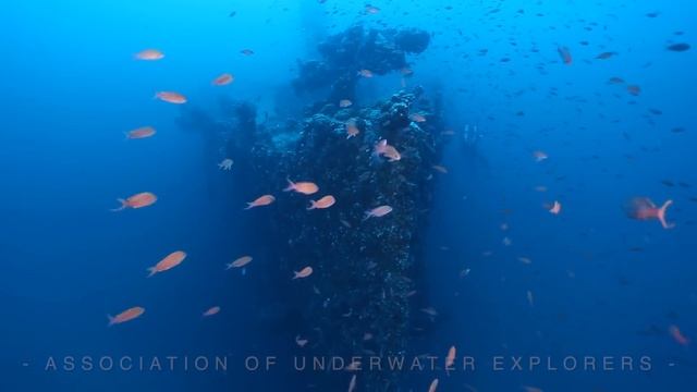 DIVING THE HMHS BRITANNIC - SISTER SHIP OF RMS TITANIC смотреть онлайн