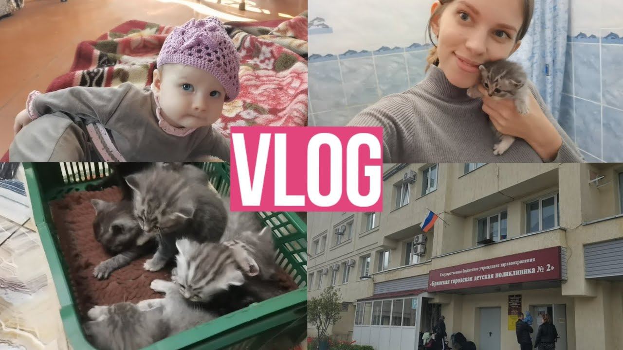 Будни мамы влог Возможно ли ездить за город с маленьким ребёнком? / Посещение педиатра / Прививки