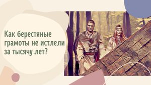 Как берестяные грамоты не истлели за тысячу лет?