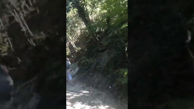 Дача Короленко часть 2 смотреть онлайн