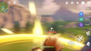 Играю на приватном сервере геншин Импакт.