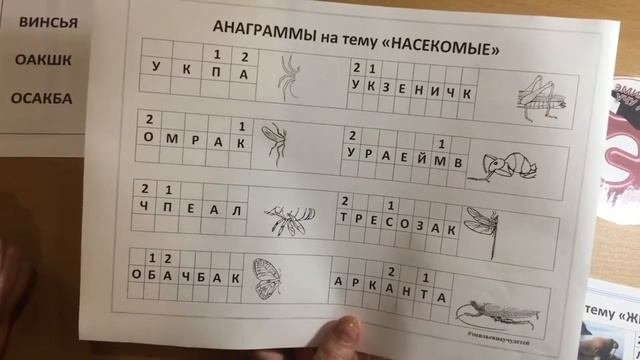 Анаграммы  Четыре уровня сложности