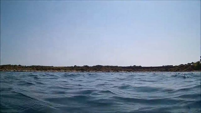 VARDIANOI