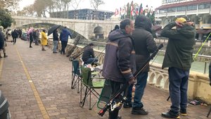 Тонны форели после шторма 27.11.2023 опять сбежали с фермы в Сочи!!!