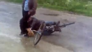 Собака подрезала