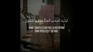 Люхайдан успокаивающее чтение Корана! #коран #люхайдан #quran #allah #luhaidan