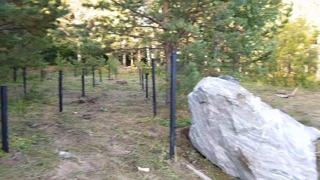 Геологический музей в парке «Гремячая Грива», в районе остановки Академия биатлона .Компаня КрасСва