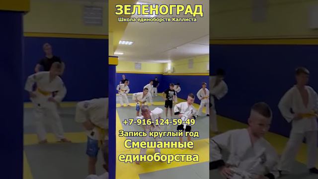 Смешанные единоборства в зеленограде. Запись круглый год