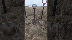 Тестирование лопат №2 телескопическая Fiskars, штыковая и штурмовая от Александра (kurkino).