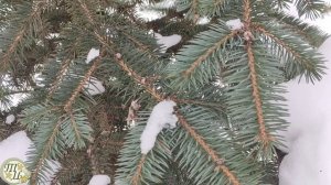 22 января Филиппов День  Что нельзя делать 22 января  Народные традиции и приметы на 22 января