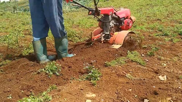 Working With Honda Tiller F720 (???? ?) смотреть онлайн