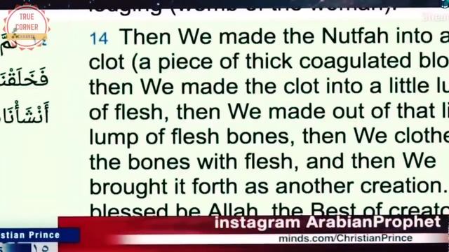 ? Muslim Malaysia Berdebat Sengit Dengan Christian Prince | KALAH TELAK Mampoes dah Loe ‼ смотреть онлайн