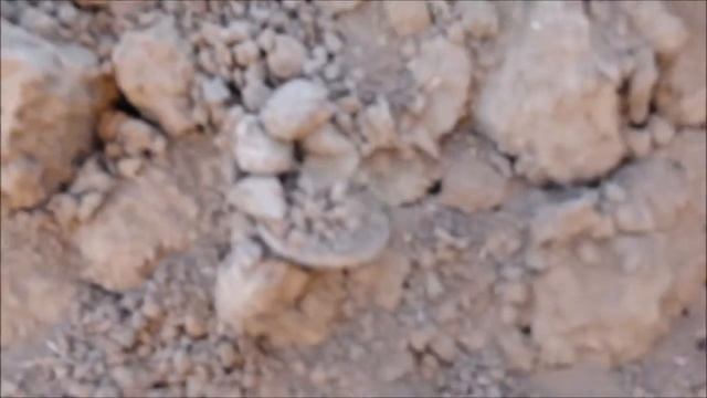 Искатели золота \ Интересное поле смотреть онлайн