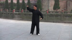 Мастер Ван Линь Фрагмент 40 форм тайцзицюань Стиль Чэнь
