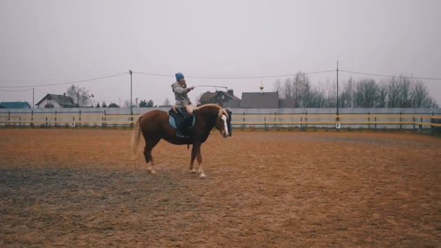 Лайфхак: как научить лошадь ездить на кордео смотреть онлайн