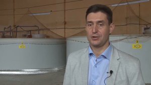 В КСТОВЕ НАЧАЛИ ВЫРАЩИВАТЬ МРАМОРНОГО СОМА