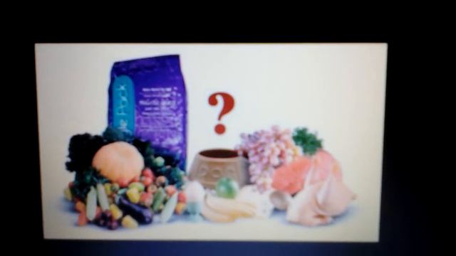 Як годувати мопса? 2 частина! смотреть онлайн