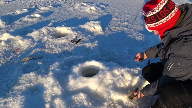 -24. Пейзажи Аляски,и рыбалка .Alaska. Fishing. смотреть онлайн