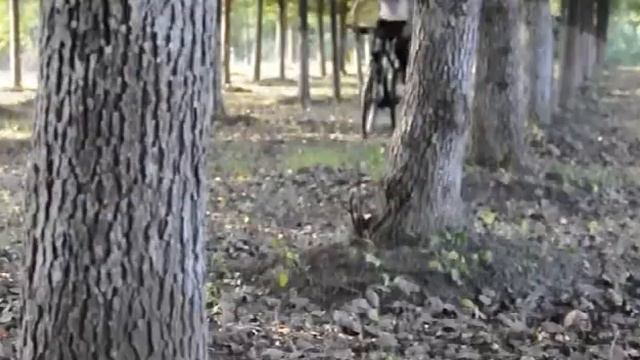 Rbrl Mountain Bike Bicycle Mudguard Fenders смотреть онлайн