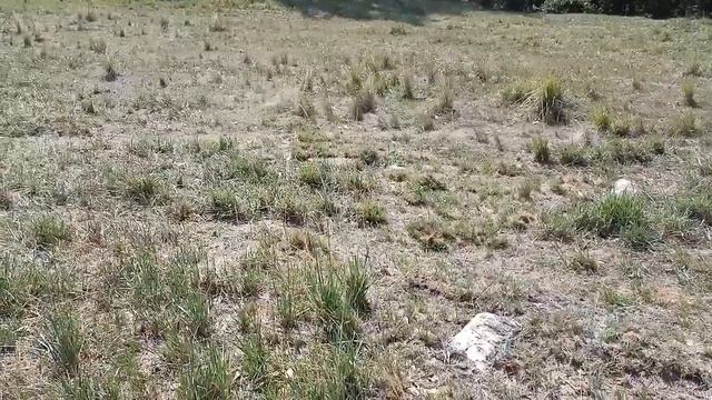 Дядя Макс и XP DEUS! Часть-2 (По старым местам) смотреть онлайн