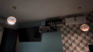 @Яндекс, почему Алиса такая глупая?