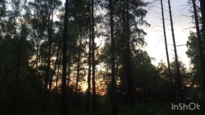 Сказка «Лягушка-путешественница»