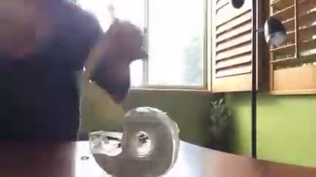 Origami king cobra time lapse смотреть онлайн