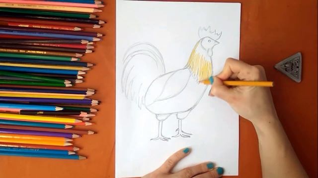 Как нарисовать петуха. Онлайн-школа рисования "Малевашки"