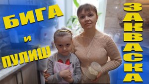 Закваска бига и пулиш