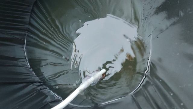 Сбор дождевой ВОДЫ!
