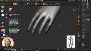 3DSculpting LIVE Моделирование персонажа девушки #2