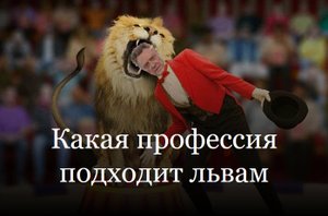 Какая профессия подходит львам