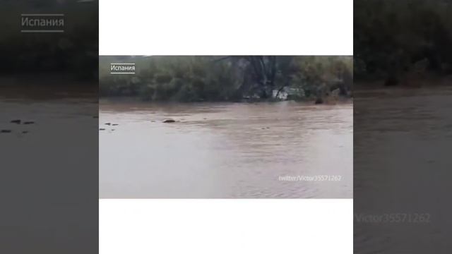 ВСЁ СБЫВАЕТСЯ ((ВЕДЬМИНА ИЗБА ▶️ ИНГИ ХОСРОЕВА))