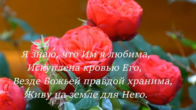 «Его любовь, как розы.» Христианская песня.