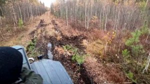 вездеход болотоход косач прокатились по лесу