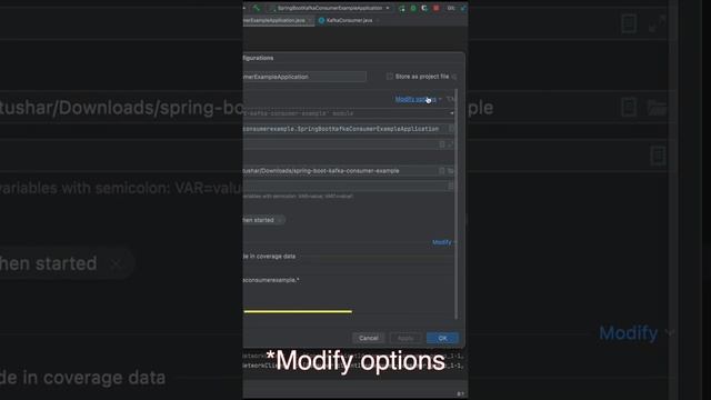 How to run application on multiple instances in intellij/Pycharm #short