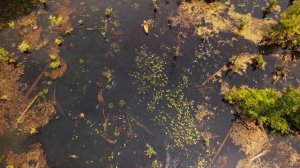 К кристальной лагуне в Краби на каяке. Самостоятельная поездка из Ао Нанга, Тайланд.