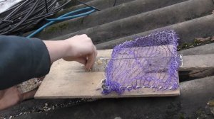 Словил большую синицу моей новой ловушкой для мелких птиц