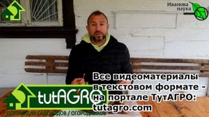 КОПЕЕЧНАЯ ЗЕЛЕНКА ДЛЯ САДА и ОГОРОДА. ПОЛЬЗА БЕЗ ВРЕДА. Правильное использование зеленки для лечени