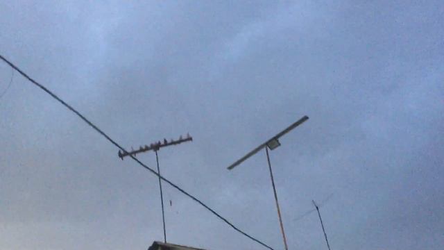 #Pigeons.Наслаждайтесь друзья. смотреть онлайн