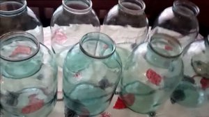 Огурцы под капроновой крышкой горячим способом